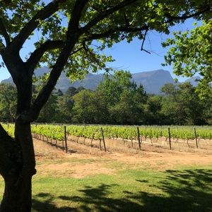 Meet your Posher, Taryn